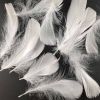 500 Pcs White Artificial Goose Feathers for Birthday Party Wedding Festival Party Decor, 2-5 inch